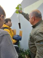 W Dobrzeniu Wielkim zasadzono jabłonie. W ten sposób uczczono "Dzień drzewa"