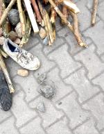 Granica: Cudzoziemcy opuścili obozowisko i przenieśli się w nieznane miejsce