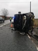 Dachowanie busa  w powiecie kluczborskim