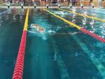 Na pływalni Wodna Nuta rywalizowały drużyny w pływaniu długodystansowym