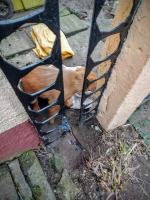 Strażacy pomogli psu, który utknął w ogrodzeniu oraz kotu...na drzewie