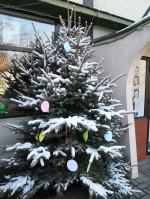 Choinka w Talentowni nadal pełna życzeń. O czym marzą samotni i najmłodsi?