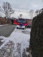 Udana akcja strażaków. Uratowali sarnę, która wpadła do silosu