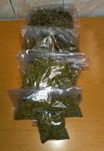 Kryminalni przejęli pół kilograma narkotyków