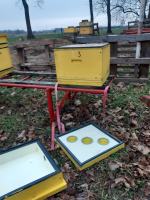 Tysiące pszczół zginęło. Ktoś "przewietrzył" ule w pasiece w powiecie brzeskim