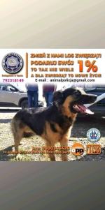 Leszek Pawlak (Lech Roch Pawlak) - Moja kariera jeszcze się nie skończyła