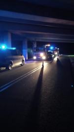 BMW uderzyło w zwierzę. Niebezpieczne zdarzenie w powiecie strzeleckim