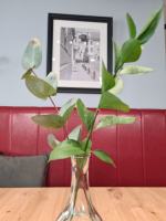  Wytrawne chałki od o!Polecamy. To Cię zaskoczy!