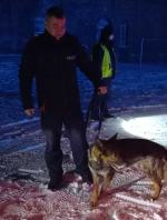 Całonocne poszukiwania młodego mężczyzny zakończyły się sukcesem