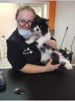 Salon La Lunia zaprasza czworonogi na pielęgnację szaty