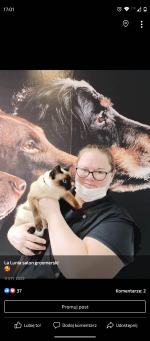 Salon La Lunia zaprasza czworonogi na pielęgnację szaty