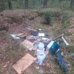 Wyrzucili meble i śmieci do lasu. Dokumenty i dane zostały w szufladach