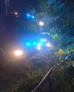 Pożar młodnika w powiecie kędzierzyńsko-kozielskim. To sprawka podpalacza