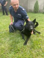 Najlepszy przewodnik psa służbowego na Opolszczyźnie i jego partner Retro