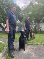 Najlepszy przewodnik psa służbowego na Opolszczyźnie i jego partner Retro