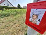 Samoobsługowy "sklep" ze słonecznikami w szczytnym celu