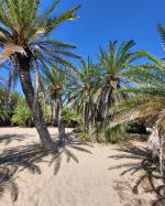 Itaka: Wyjazdy odbywają się nadal bez większych zmian, w tym na Rodos