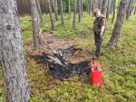 Leśniczy poczuł dym. Trafił do tlącej się ściółki leśnej