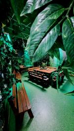 Urodzinowa Fiesta w Hoplandii i Odskoczni