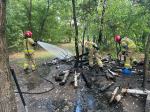 Ognisko w środku lasu. Strażacy zareagowali błyskawicznie