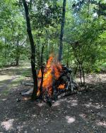 Ognisko w środku lasu. Strażacy zareagowali błyskawicznie