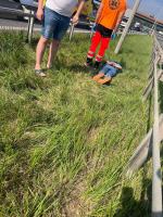 Zderzenie pojazdów i "bójka" na A4