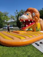 Kolorowy Festiwal Dmuchańców już w piątek w Opolu