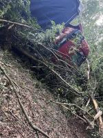 Ciężarówka jechała autostradą, wypadła z jezdni i wjechała do lasu