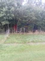 Ciężarówka jechała autostradą, wypadła z jezdni i wjechała do lasu