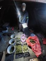 Zatrzymani za posiadanie znacznych ilości narkotyków