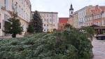Za blisko 2 tygodnie Jarmark Bożonarodzeniowy. Trwają przygotowania na opolskim rynku