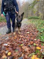 35-latek odbywający karę więzienia, uciekł ze szpitala - na szczęście to ćwiczenia