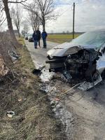 17-latek bez prawa jazdy uderzył w drzewo 