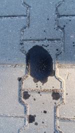 Wyciek ciemnej substancji oleistej z silnika samochodu tuż po przeprowadzonym badaniu technicznym