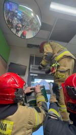 Nietypowa akcja ratunkowa w Opolu