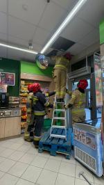 Nietypowa akcja ratunkowa w Opolu