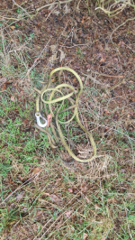 Pod osłoną nocy kradli kable telekomunikacyjne - wpadli na gorącym uczynku