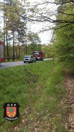 Wypadek na drodze wojewódzkiej numer 414: Kierowca unikał sarny i dachował