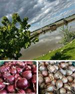 Opolska Kooperatywa Spożywcza przenosi się na plac Expo Opole