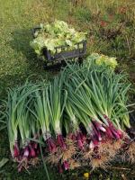 Opolska Kooperatywa Spożywcza przenosi się na plac Expo Opole