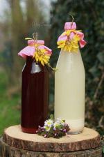 Opolska Kooperatywa Spożywcza przenosi się na plac Expo Opole