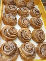 Opolska Kooperatywa Spożywcza przenosi się na plac Expo Opole