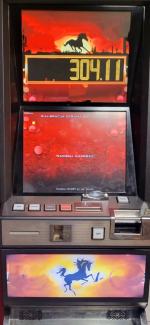 Prowadziła nielegalny salon gier- grozi jej wysoka grzywna i kara pozbawienia wolności