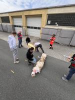 XXX Mistrzostwa Polski z pierwszej pomocy na etapie okręgowym. Opole liderem