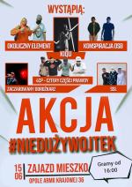 Festyn charytatywny dla Niedużego Wojtka