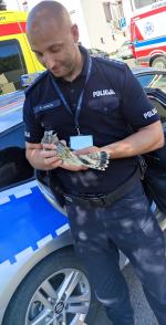 Dzielnicowi uratowali małe pustułki 