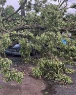 Silne burze i podmuchy wiatru w województwie opolskim. Ponad 100 interwencji 
