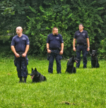 Obchody Święta Policji w Strzelcach Opolskich. Było hucznie i rodzinnie