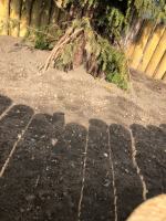 Odpowiedzialni za śmierć Cisa zostaną pociągnięci do odpowiedzialności