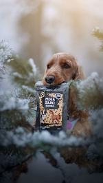 Rodzinna firma z Opola, Która odmienia psie nawyki żywieniowe